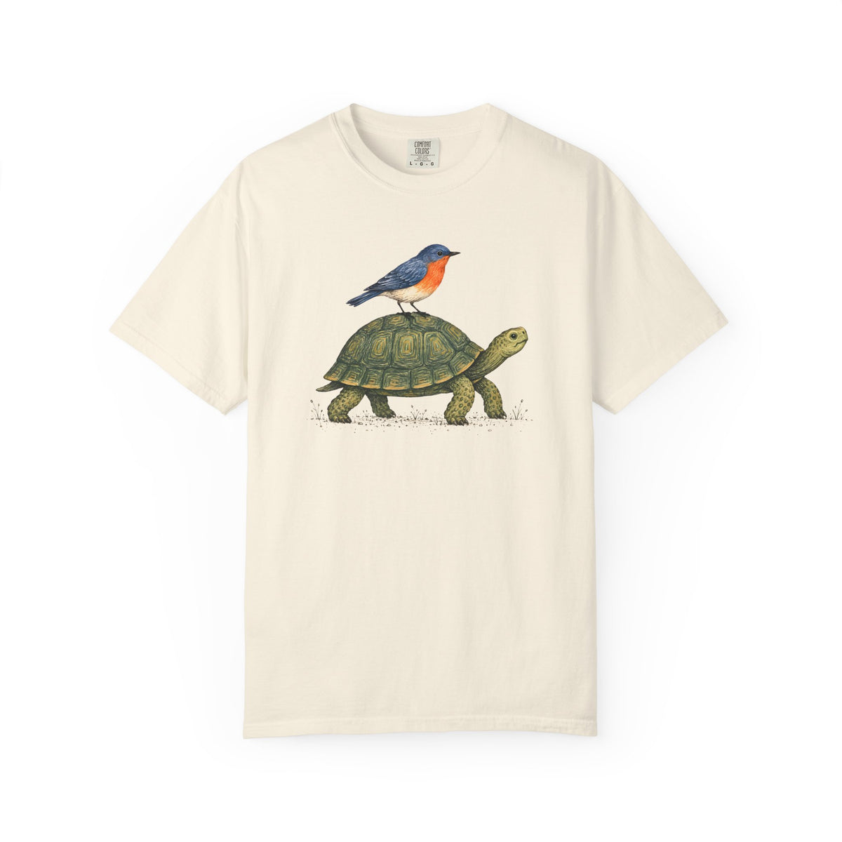 Tortoise & Robin Graphic T-Shirt — Cute Nature Animal Tee