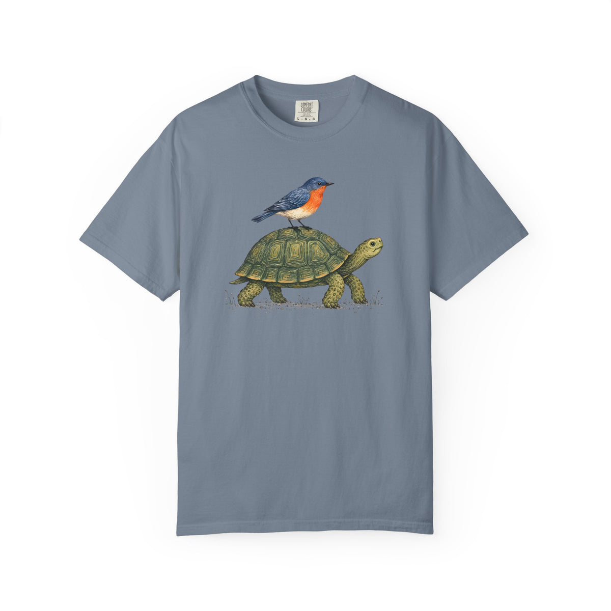 Tortoise & Robin Graphic T-Shirt — Cute Nature Animal Tee