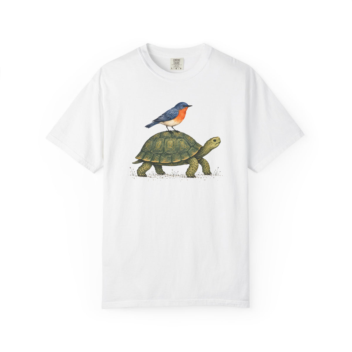 Tortoise & Robin Graphic T-Shirt — Cute Nature Animal Tee