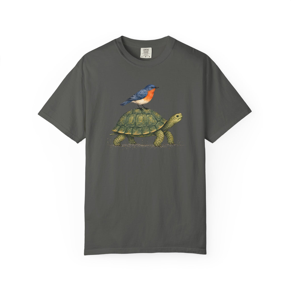 Tortoise & Robin Graphic T-Shirt — Cute Nature Animal Tee