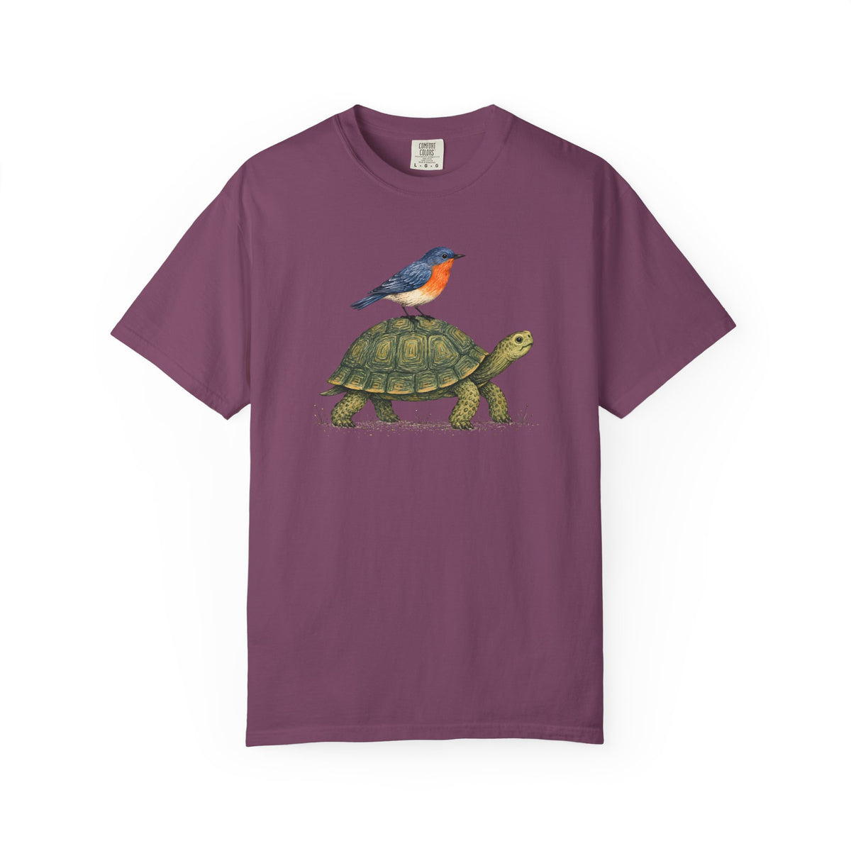 Tortoise & Robin Graphic T-Shirt — Cute Nature Animal Tee