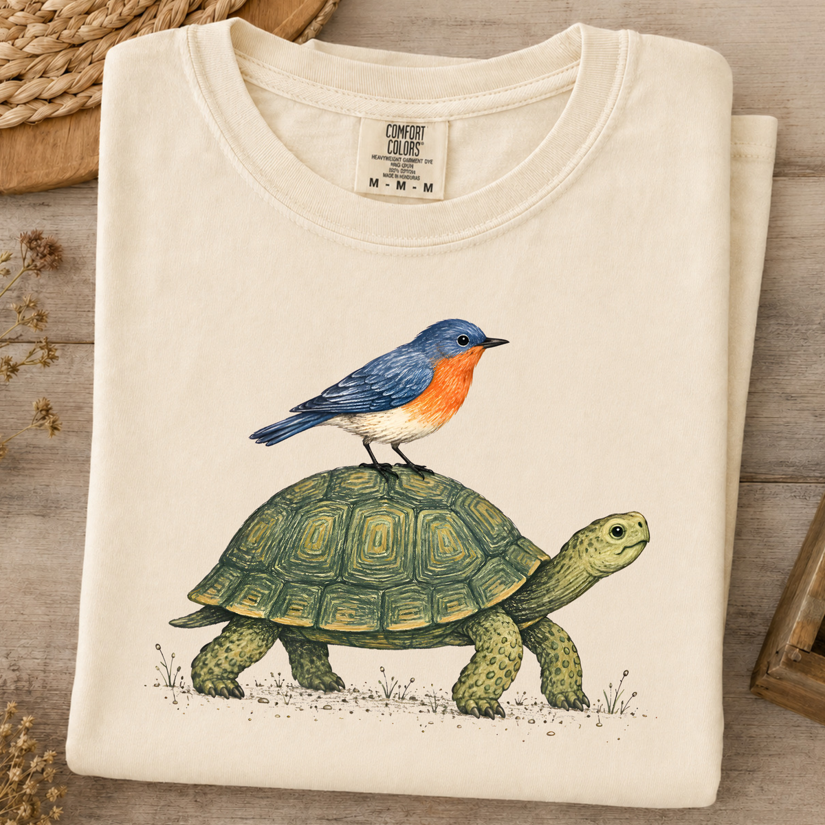 Tortoise & Robin Graphic T-Shirt — Cute Nature Animal Tee